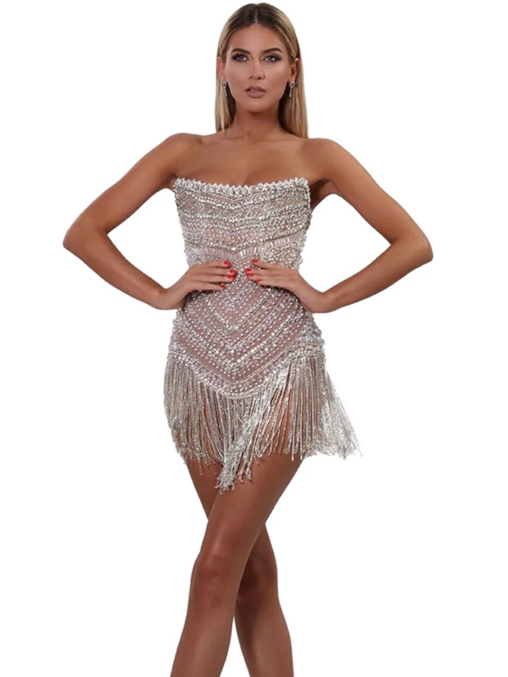 Albina Dyla Corset Silver Fringe Mini Dress in Nude and Silver